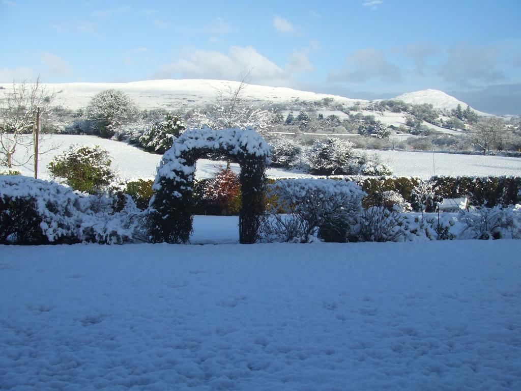 Bed and breakfast River Meadows 3*