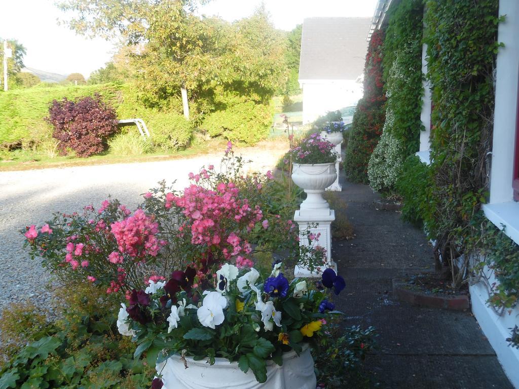 Bed and breakfast River Meadows